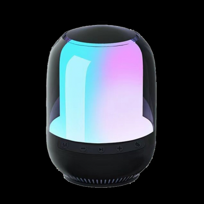 Bluetooth karaoke speaker KS-206